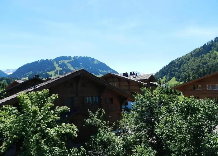 Im Wiesengrund By Interhome * Gstaad